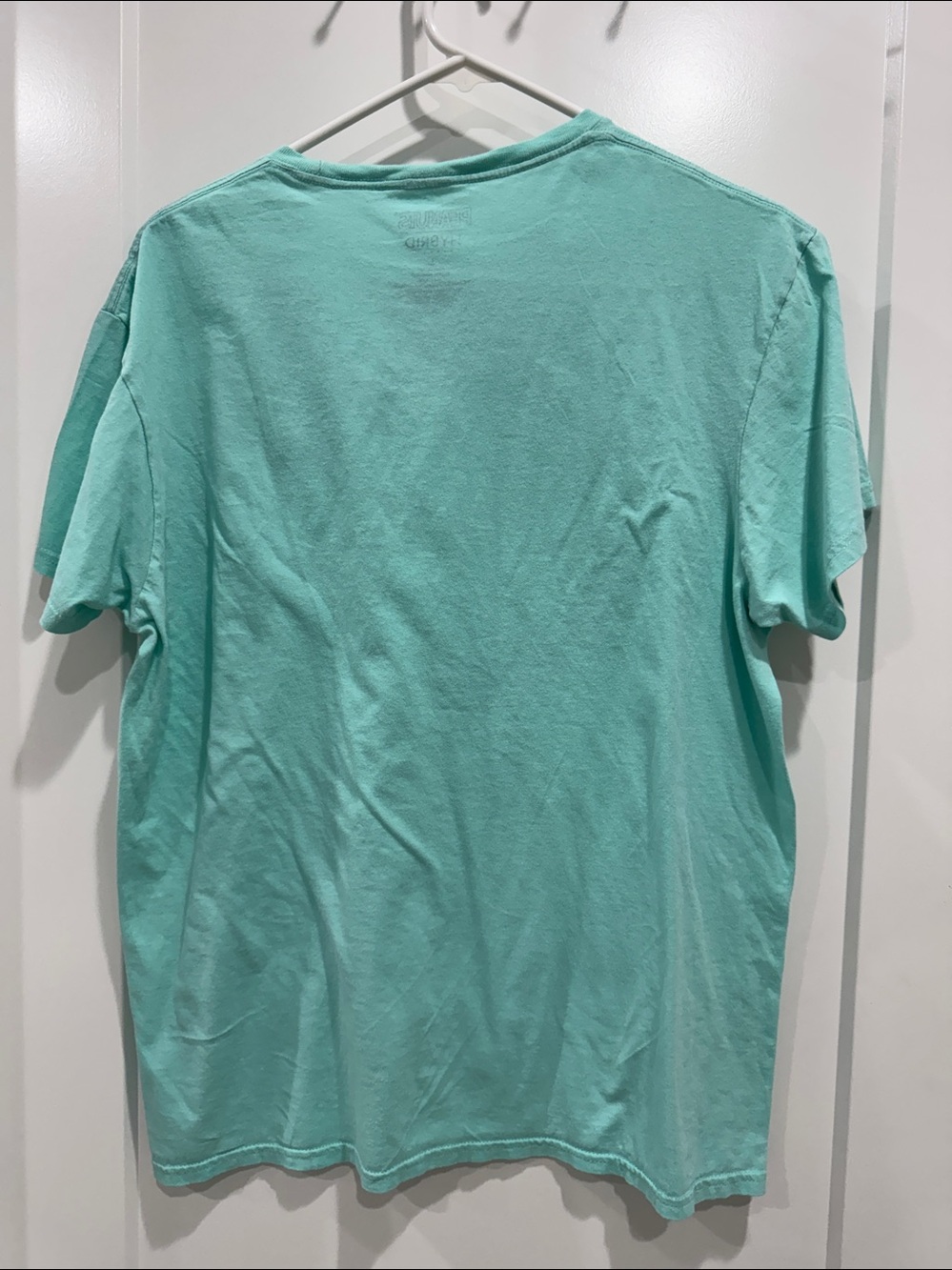 Peanuts Hybrid snoopy graphic Tee in Mint - Picture 2 of 4